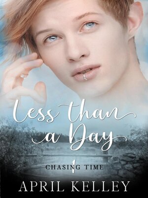 cover image of Less Than a Day